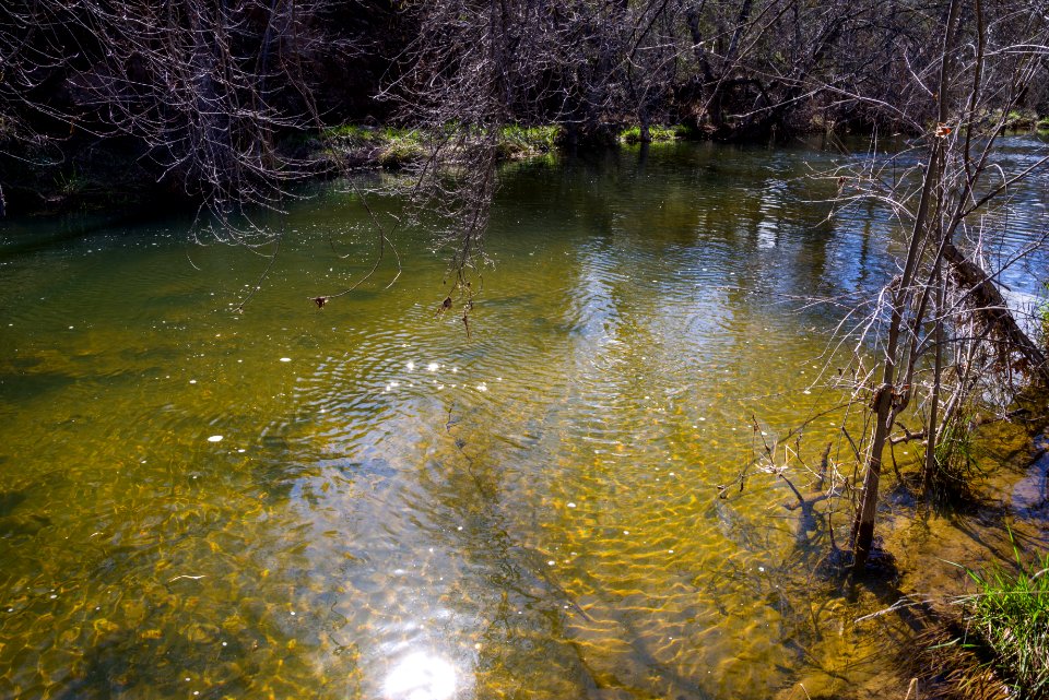 Homestead at Fossil Creek