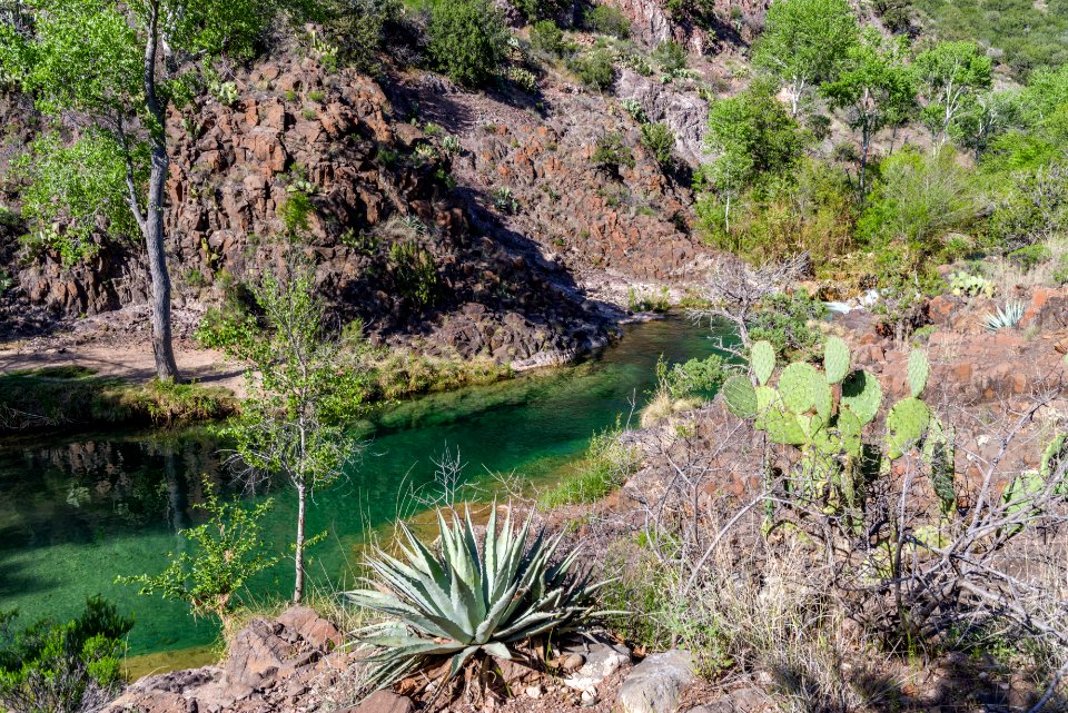 Tonto Bench on Fossil Creek