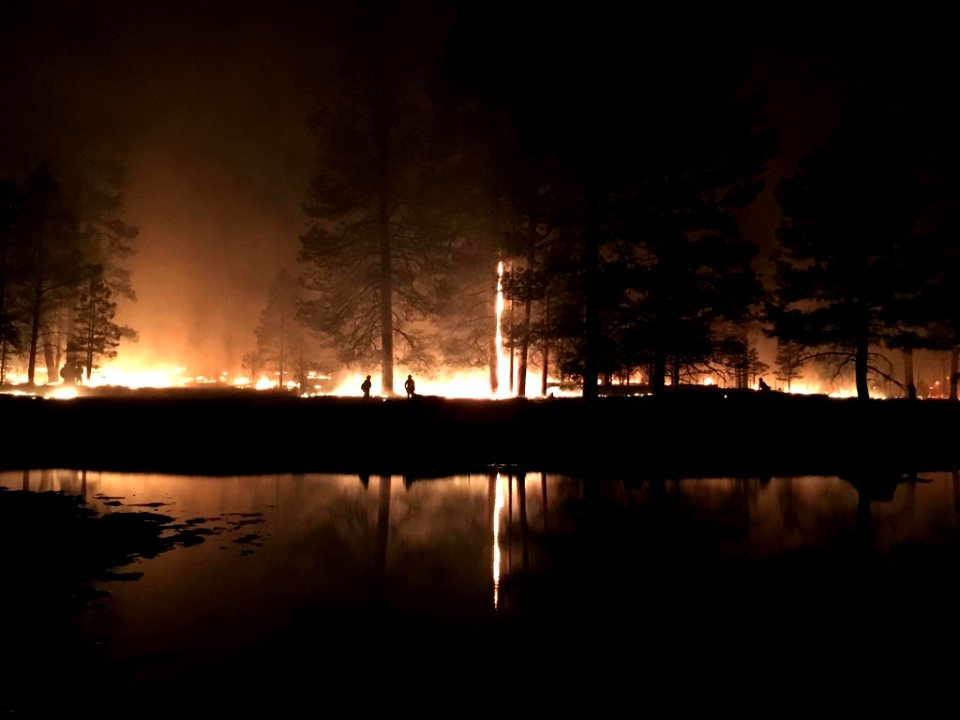 Jack Fire (June 2016)