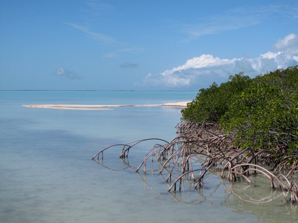 Florida Bay (2), NPSPhoto photo