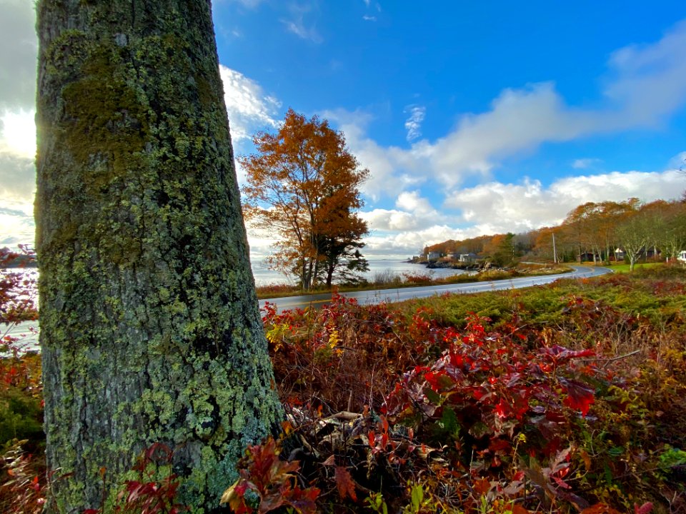 Fall clings on in Chamberlain, Maine