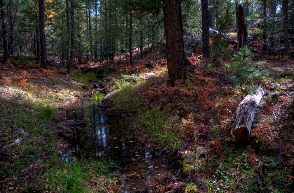 Fred Haught Trail #141