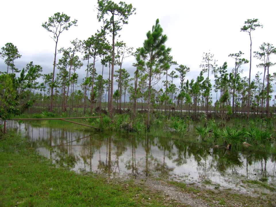 Hurricane Katrina & Wilma 2005 (13), NPSPhoto