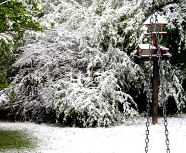 chainandbirdfeeder