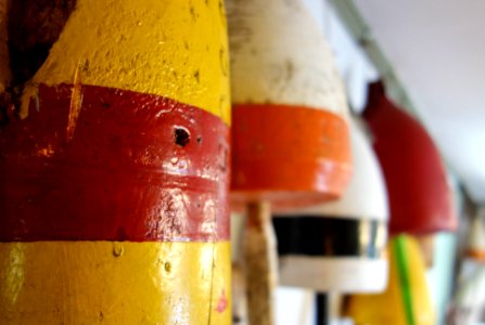 Buoy collection. photo