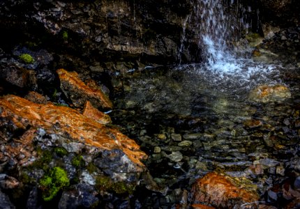 Hidden Oasis