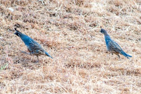 AVU-2017-031-122