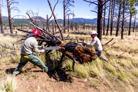 Deer Hill Trail: National Public Lands Day 2017