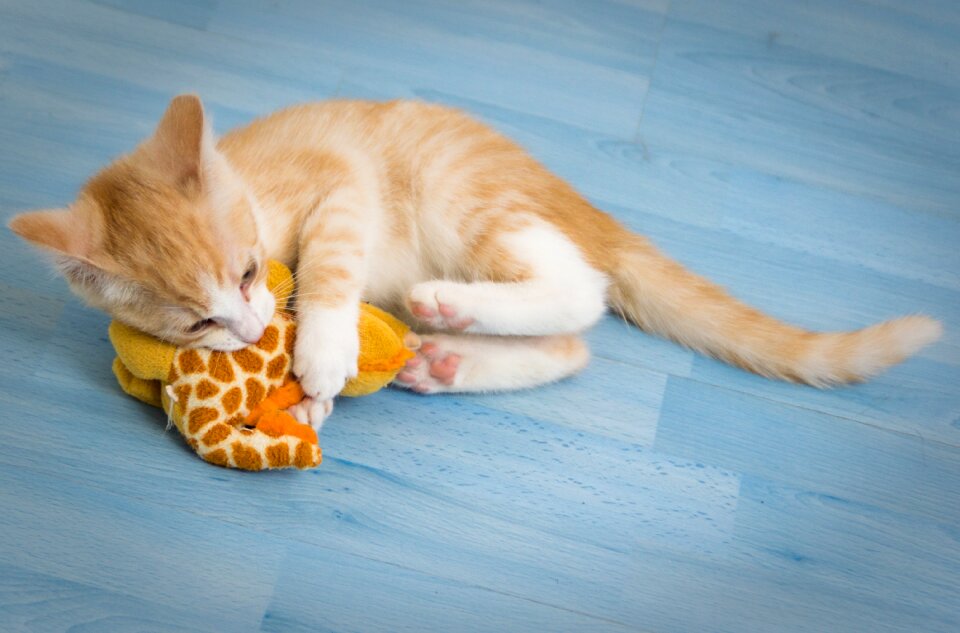 Stuffed animal pleasure small