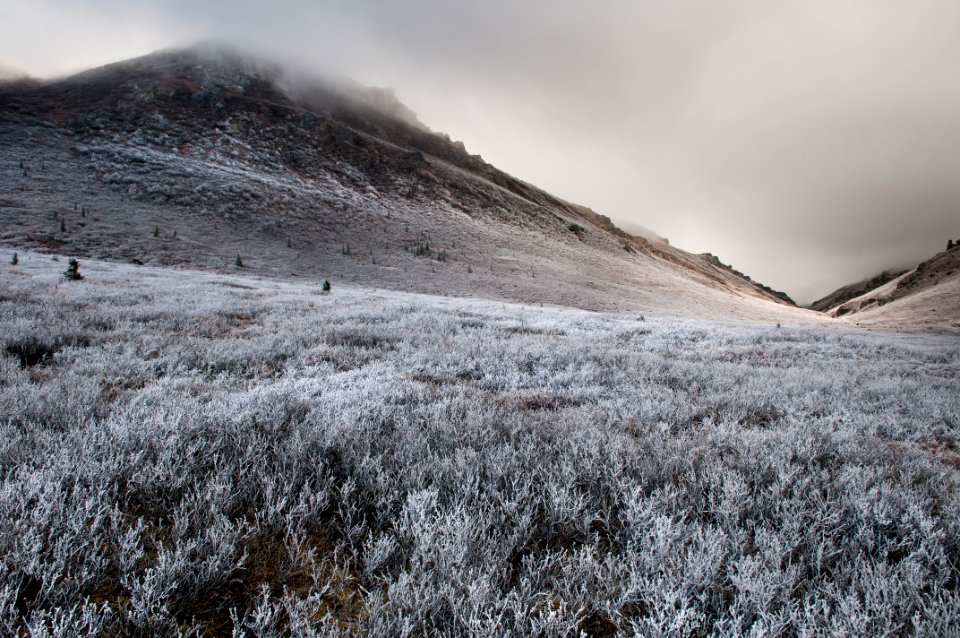 Savage Canyon- First Frost