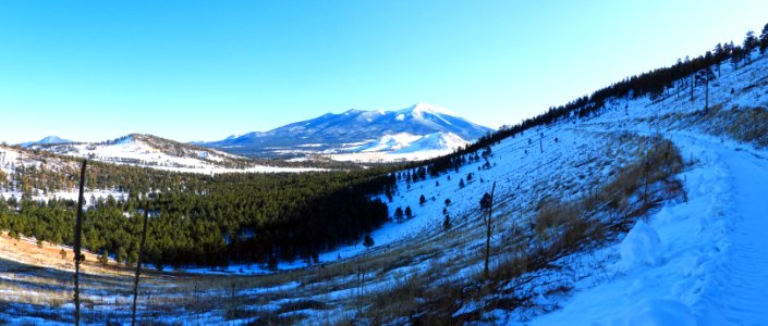 Pano of San Francisco Peaks photo