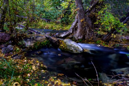 Autumn at Fossil Springs