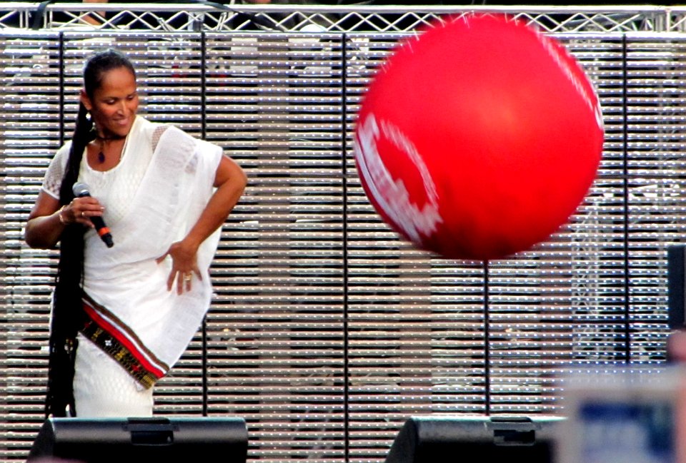 Thievery Corporation