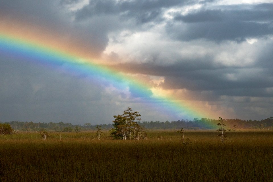 Rainbow over Everglades Wilderness
