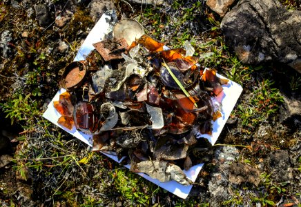 Glass collected from Copter Peak campsite