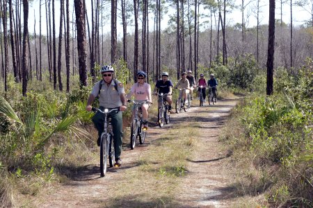 Long Pine Key Nature Trail (1), NPSPhoto photo