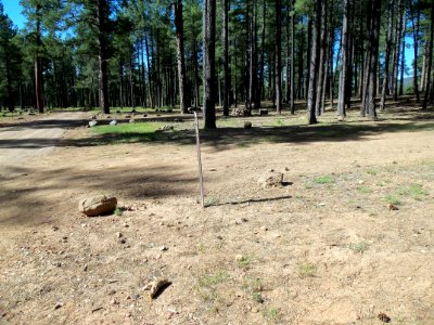 Pumphouse Wash (FR 237) Camping Loop 4
