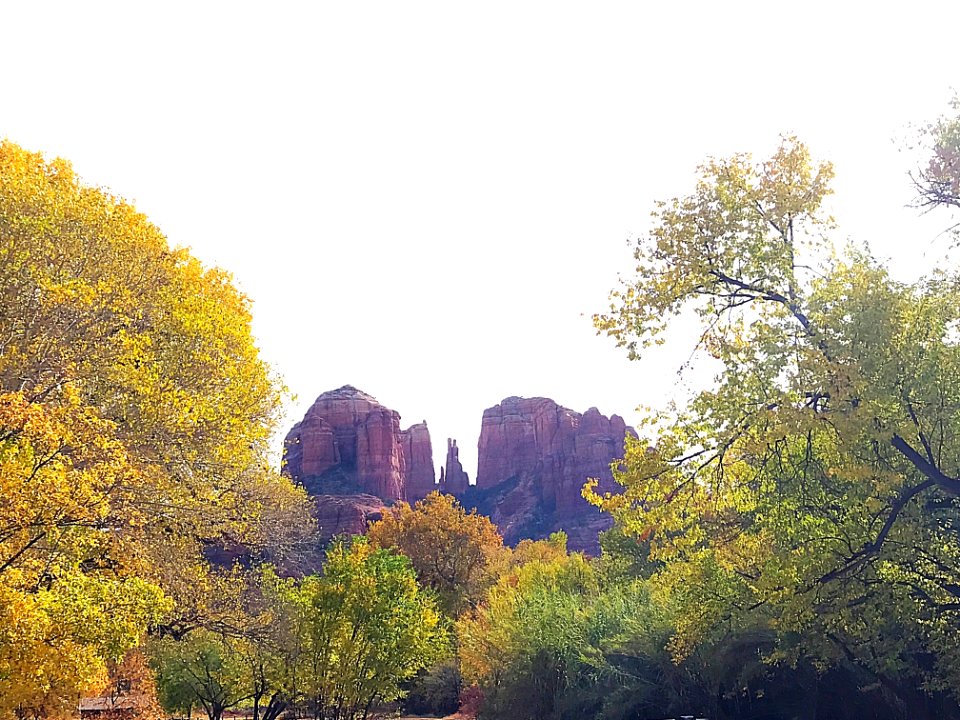 Fall color at Crescent Moon Ranch (November 15, 2017)