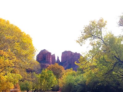 Fall color at Crescent Moon Ranch (November 15, 2017)