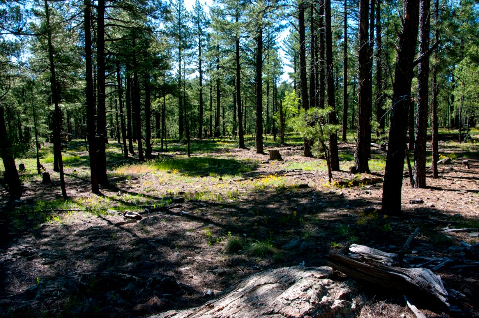 Griffith Spring Trail No. 189