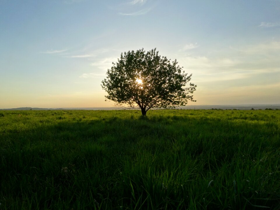 Poland landscape sunset