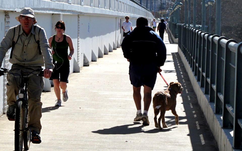 S. 1st Pedestrian Bridge