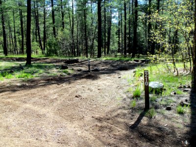 Pumphouse Wash (FR 237) Camping Loop 2