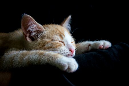 Good night tired cute