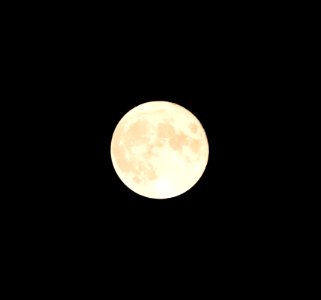 Full moon over Coconino NF