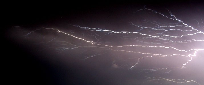 lightningfork photo