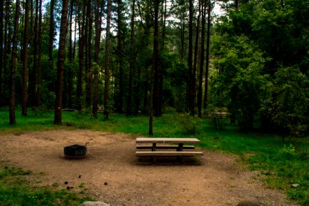 Cave Springs Campground