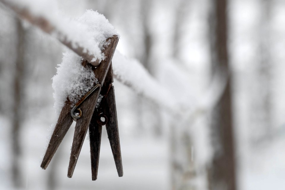 Hanging on under adverse conditions.