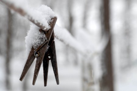 Hanging on under adverse conditions.