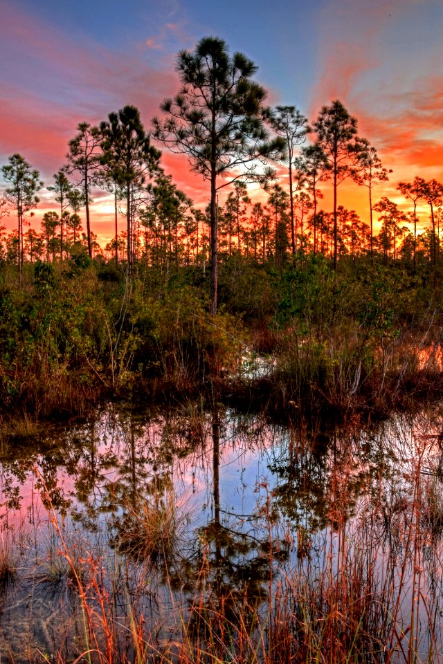 Rare Glimpse, NPSphoto, G.Gardner