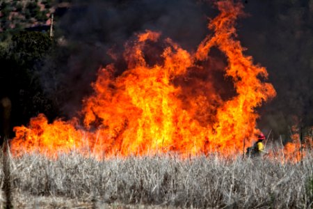 Wildland Fire Training at Crescent Moon