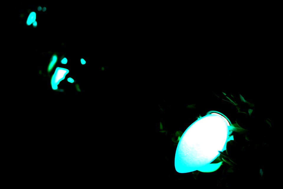 bluelights