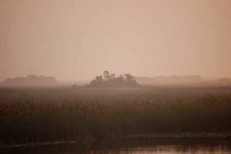 Fogged Glades, NPSPhoto