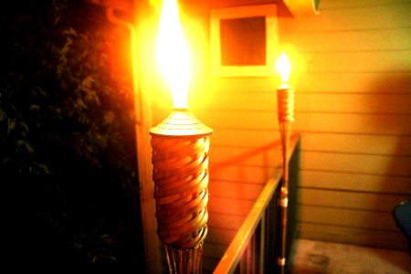Tiki Torches photo