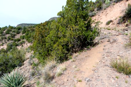 Flume Trail to Fossil Creek Dam