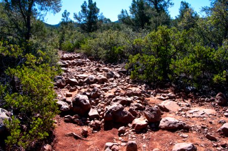 Fossil Springs Trail No. 18
