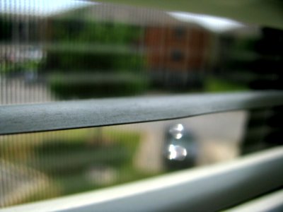 Windowblinds