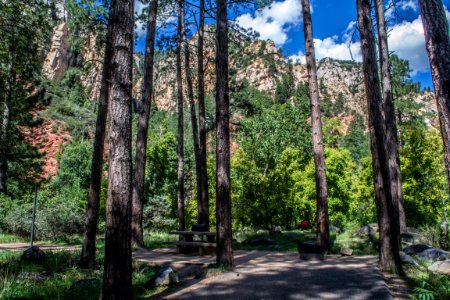 Pine Flat Campground
