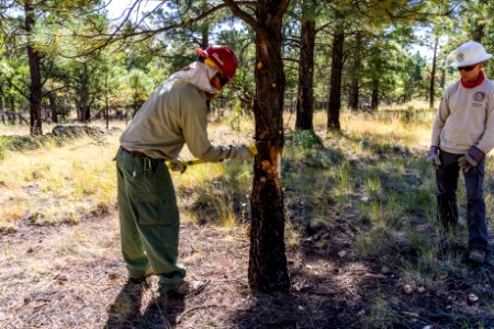 Deer Hill Trail: National Public Lands Day 2017