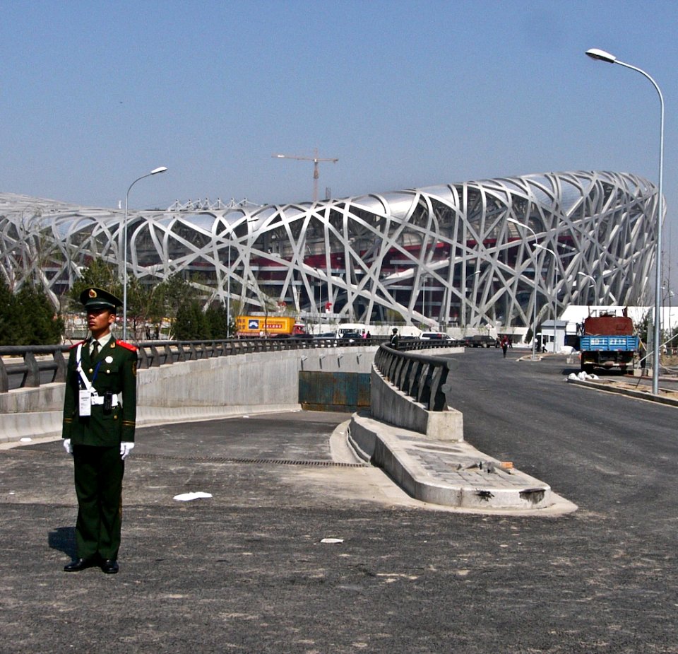 Bird's Nest