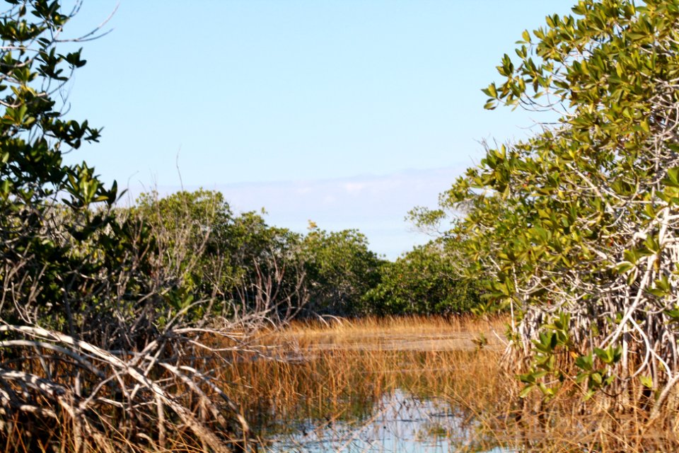 9 mile pond