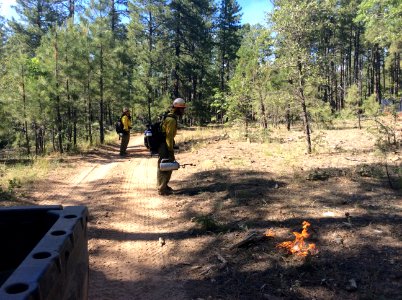 Horse Tank Fire 2015-06-17