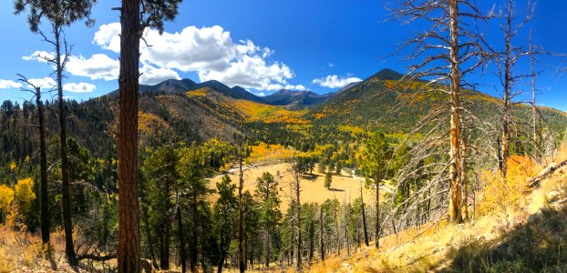 Panorama of Lockett Meadow