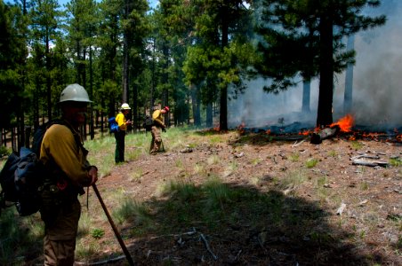 Camillo Fire 2015-06-24