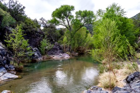 Sally May on Fossil Creek