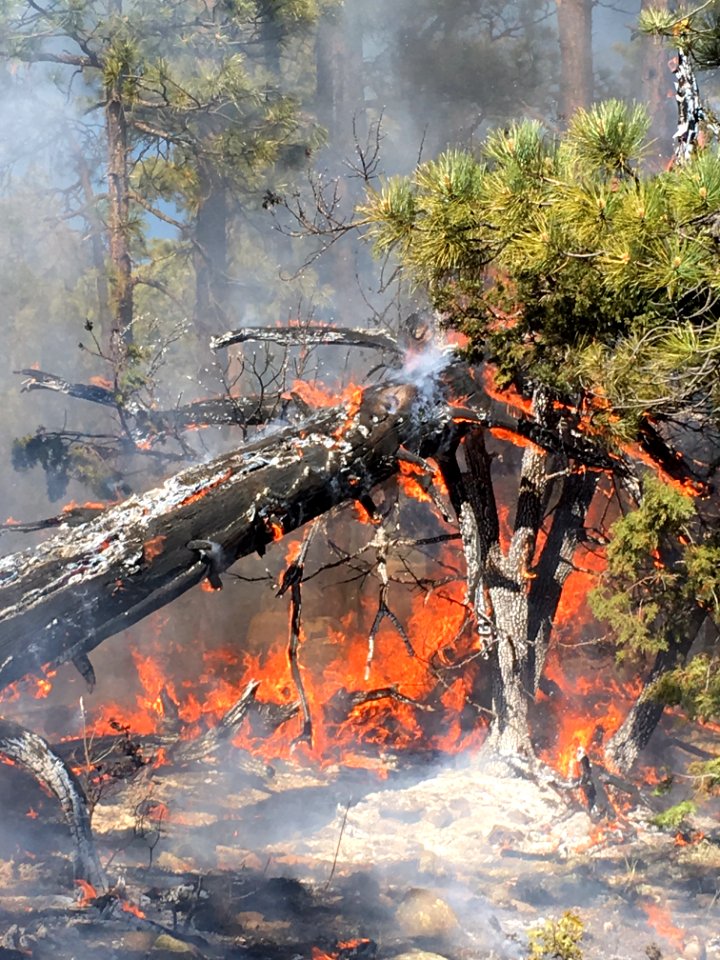 Snake Ridge Fire (May 19, 2017)